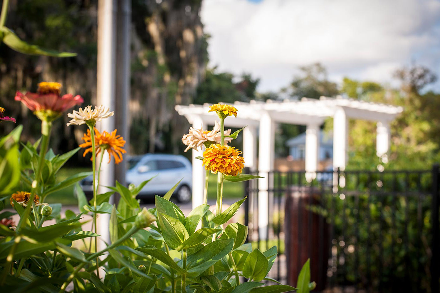 Jacksonville Home And Garden Show Remodeling Expo L Shows Who Could Afford Extensive Design And Planning That S When Laura Hatched Her Plan For Yard Landscape A New Concept In